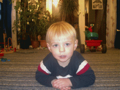 blitzbild.gif