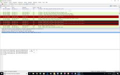 wireshark.jpg