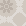 bg.gif