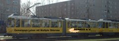 strassenbahn3.jpg