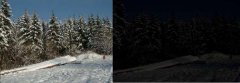 wald.jpg