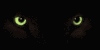 eyes%20both%20blk%20med.gif