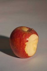 strich2.jpg