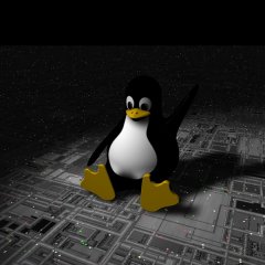 linux600x600.jpg