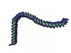 spline.jpg