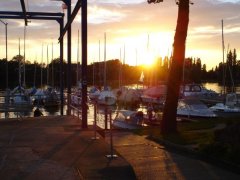 sonne1.jpg