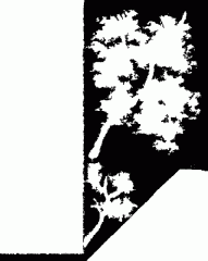 map_alpha.gif