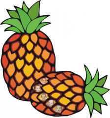 ananas-mit-mir kopie.jpg