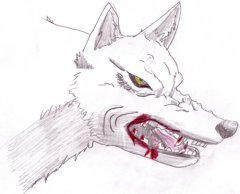 wolf-blut.jpg
