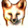 swissfox