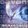 scavanger