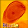 Nucleus