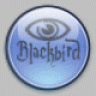 Blackbird