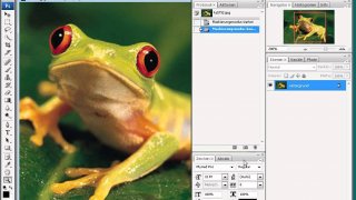 Photoshop CS3 - Bedienoberfläche (GUI)