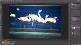 Photoshop - Export von Ebenen via Frame-Animation